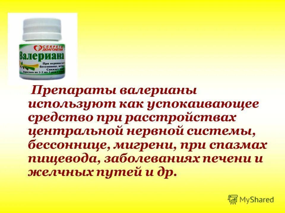 Можно пить валерьянку за рулем. Валерьянка и похожие лекарства. Как пить валерьянку в таблетках. Спазмолитический эффект валерианы. Валерьянка для организма.