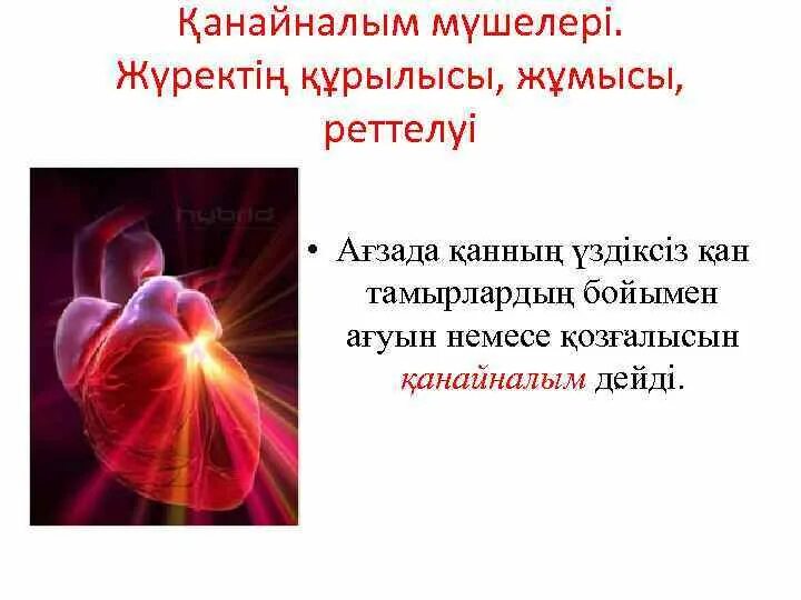 Жүрек жылуы слайд презентация. Жүрек физиологиясы презентация. Журек. Жүрек жылуы слайд презентация. Тамырлар.