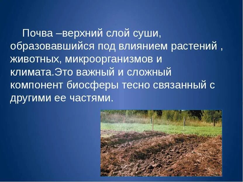 Почва среда. Почва природное тело. Почва верхний слой суши. Почва это верхний плодородный слой земли. Почва особое природное тело.
