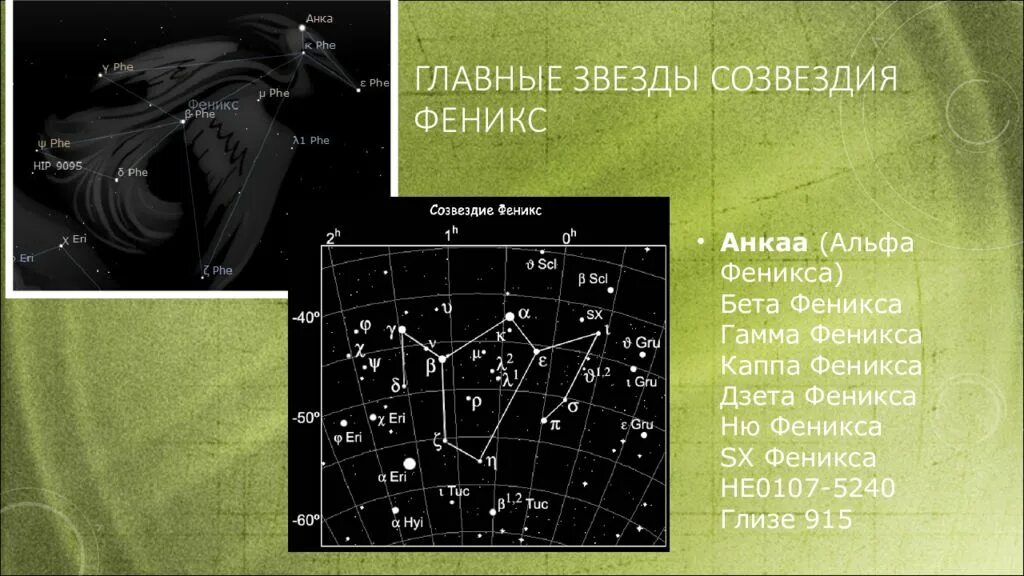 Регрессия падшего созвездия 106. Созвездие Феникс. Созвездие Феникс звезды. Главные звезды созвездия Феникс. Интересные факты о созвездии Феникс.