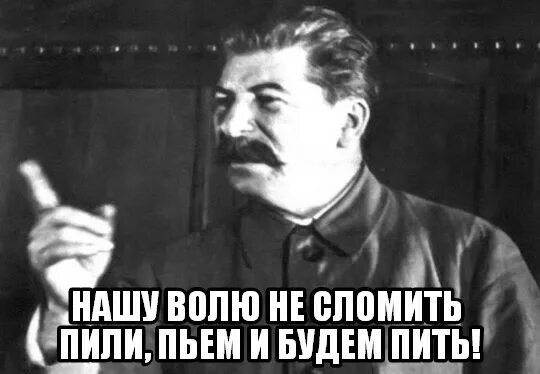 Хотя волею волею. Пили пьем и будем пить. Пил и буду пить. Пила пью и буду пить. Картинка пил и буду пить.