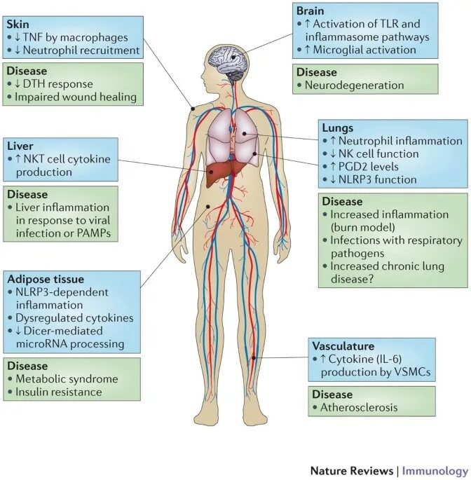 Chronic inflammation. Diseases associated