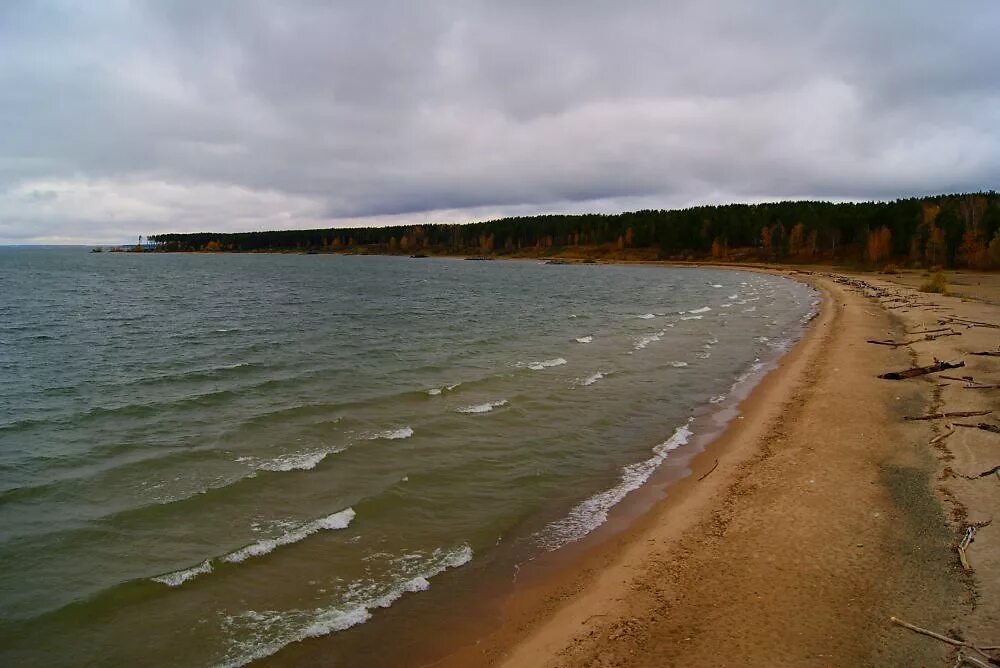 Обское водохранилище Новосибирск. Обское водохранилище Новосибирск лето. Бердское Обское море. Обское водохранилище Бердск. Обь водохранилище