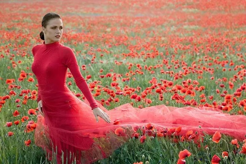 Девушка в Красном. Девушка среди цветов. Дама в Красном платье. Фотосессия с тюльпанами.