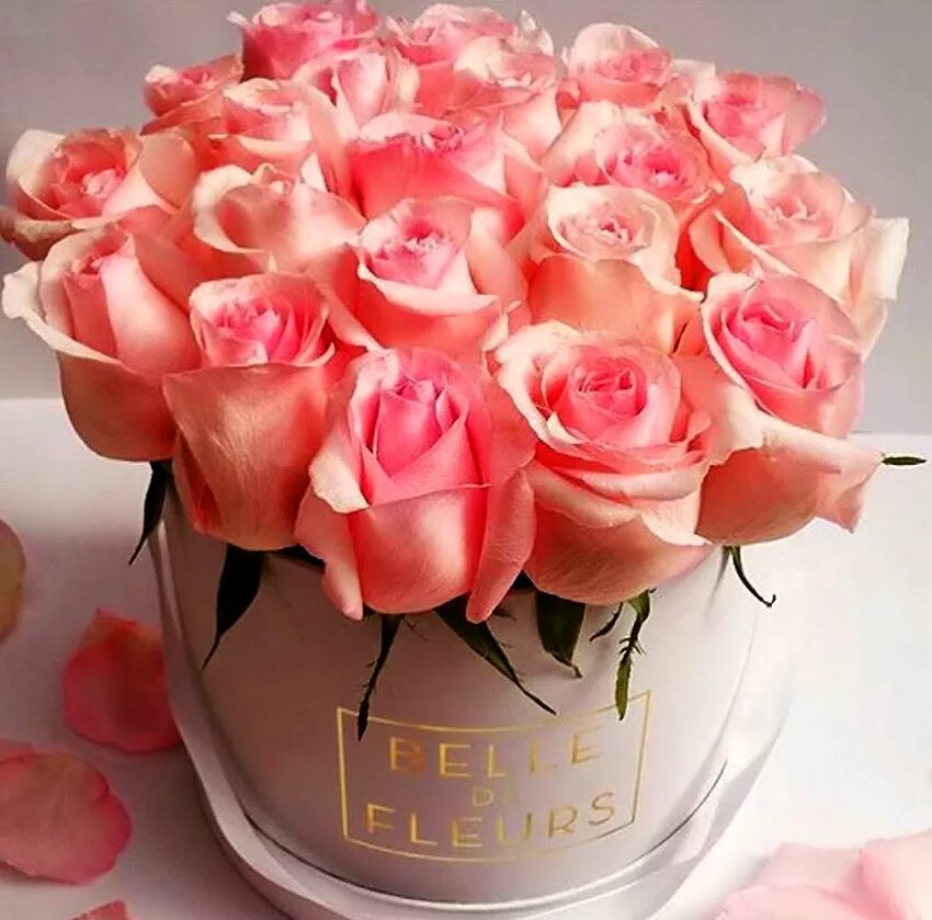 шикарный букет с днем рождения. красивые цветы картинки с днем рождения женщине. красивые цветы картинки с днем рождения женщине. нежный букет цветов. оригинальные открытки с цветами.