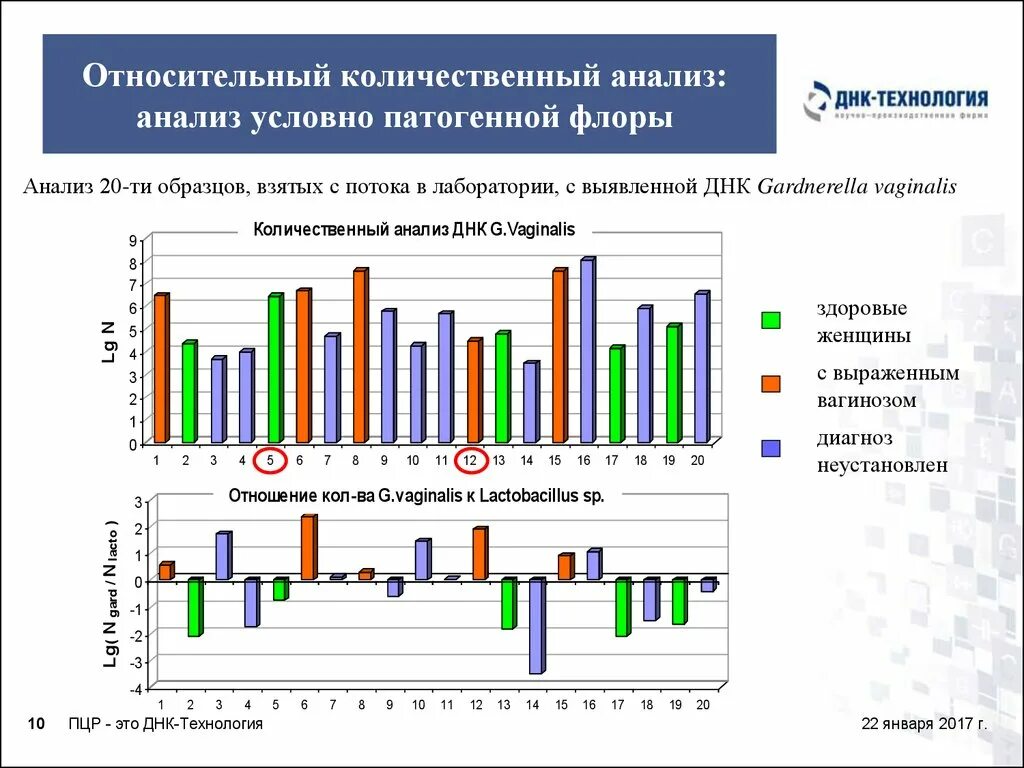 Оценка состояния Флоры методом ПЦР. Количественный анализ в лаборатории. ДНК-технология относительный анализ. Исследование биоценоза урогенитального тракта расшифровка. Количественный анализ эффективности