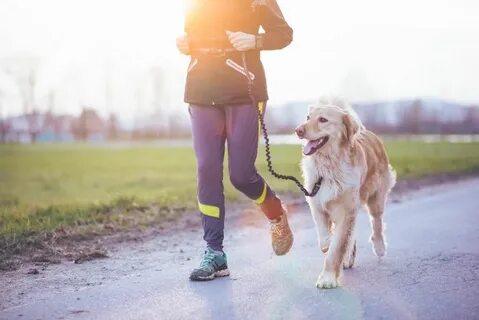 I walk my dog