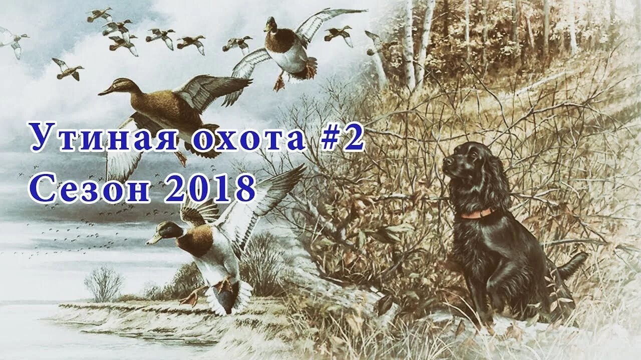Собака 2 утка 3. Собака 2 утка 3