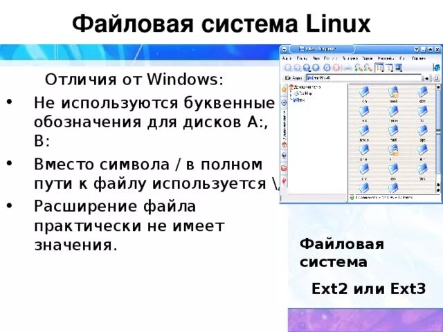 Файловая система линукс и виндовс. Отличия файловых систем Windows и Linux. Структура файловой системы в OC Linux. Файловая структура Windows и Linux.