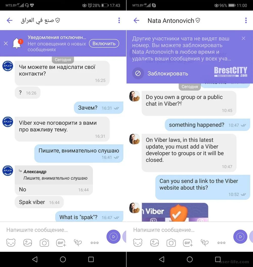 Viber сообщество. Группа в вайбере. Мошенники в вайбере. Вайбер сообщения. Сообщение в вайбере.