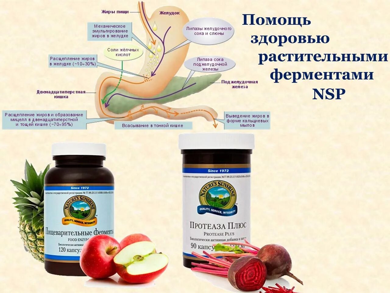 сбор трав при панкреатите. травяной сбор для поджелудки. вобэнзим 800шт. ферменты нсп. препарат для поджелудочной железы в ампулах.
