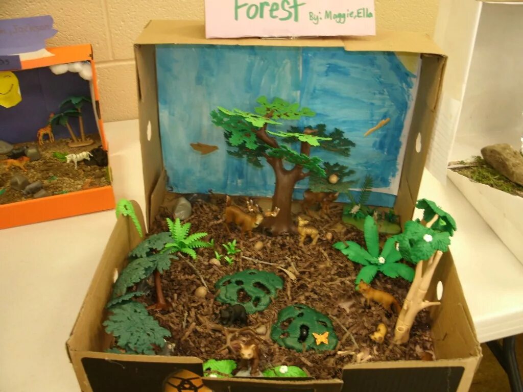 Экосистема это в экологии. Экосистема делай. Экосистема в банке. Вечный флорариум замкнутая экосистема. Флорариум мохариум.