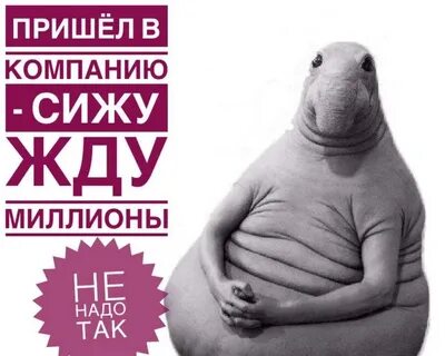 Сижу жду когда выйдет из душа потом