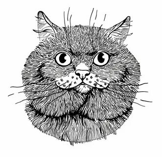 Кот графика