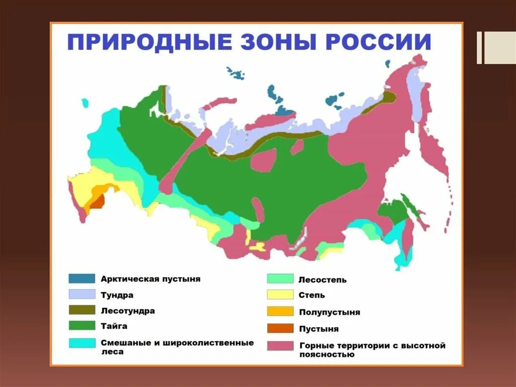 Какие зоны есть в классе. Карта природных зон России 4 класс. Географическая карта России с природными зонами 4 класс. Названия природных зон России 4 класс. Карта природных зон Росси.