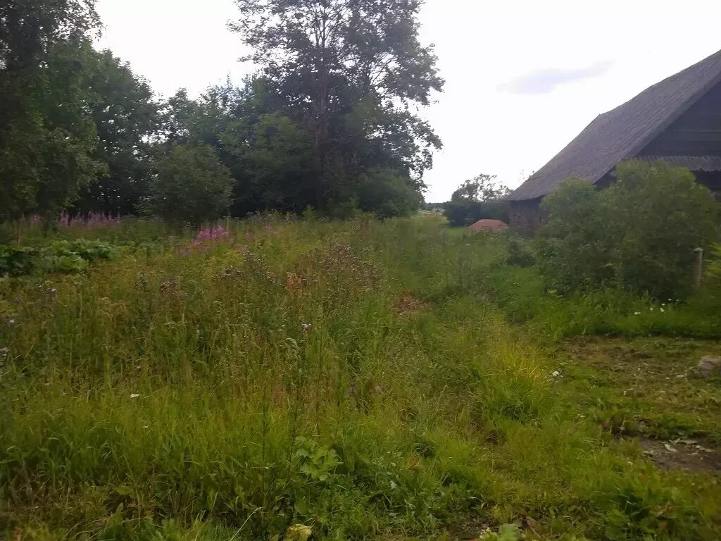 Погода в деревне шуговицы. Погода в деревне волпи. Погода в деревне шуговицы. Погода в деревне шуговицы. Погода в деревне волпи.