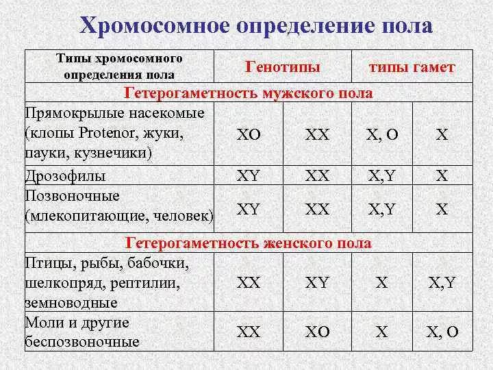 Половые хромосомы мужского организма. 4 Типа хромосомного определения пола у животных:. Генетическая схема хромосомного определения пола у человека. Типы хромосомного определения пола таблица. Половые хромосомы у разных видов.