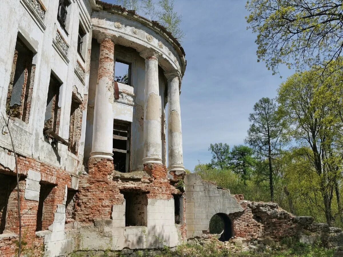 Усадьба Голицына Зубрилово Пензенской области. Усадьба князя Голицына село Зубрилово в Пензенской области. Усадьба князей Голицыных Зубриловка. Усадьба с Зубрилово Тамалинский район. Бывшая усадьба голицыных