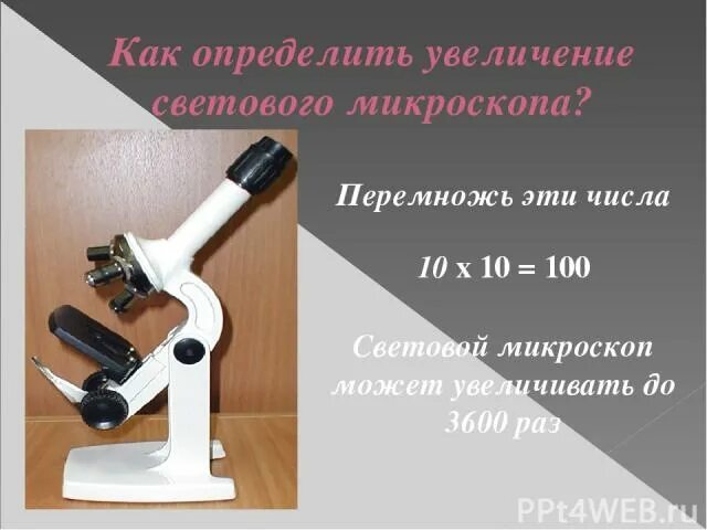 Какое увеличение дает данный микроскоп как узнать. Увеличение микроскопа. Определите увеличение микроскопа. Увеличение микроскопа 5 класс. Кратность увеличения микроскопа.
