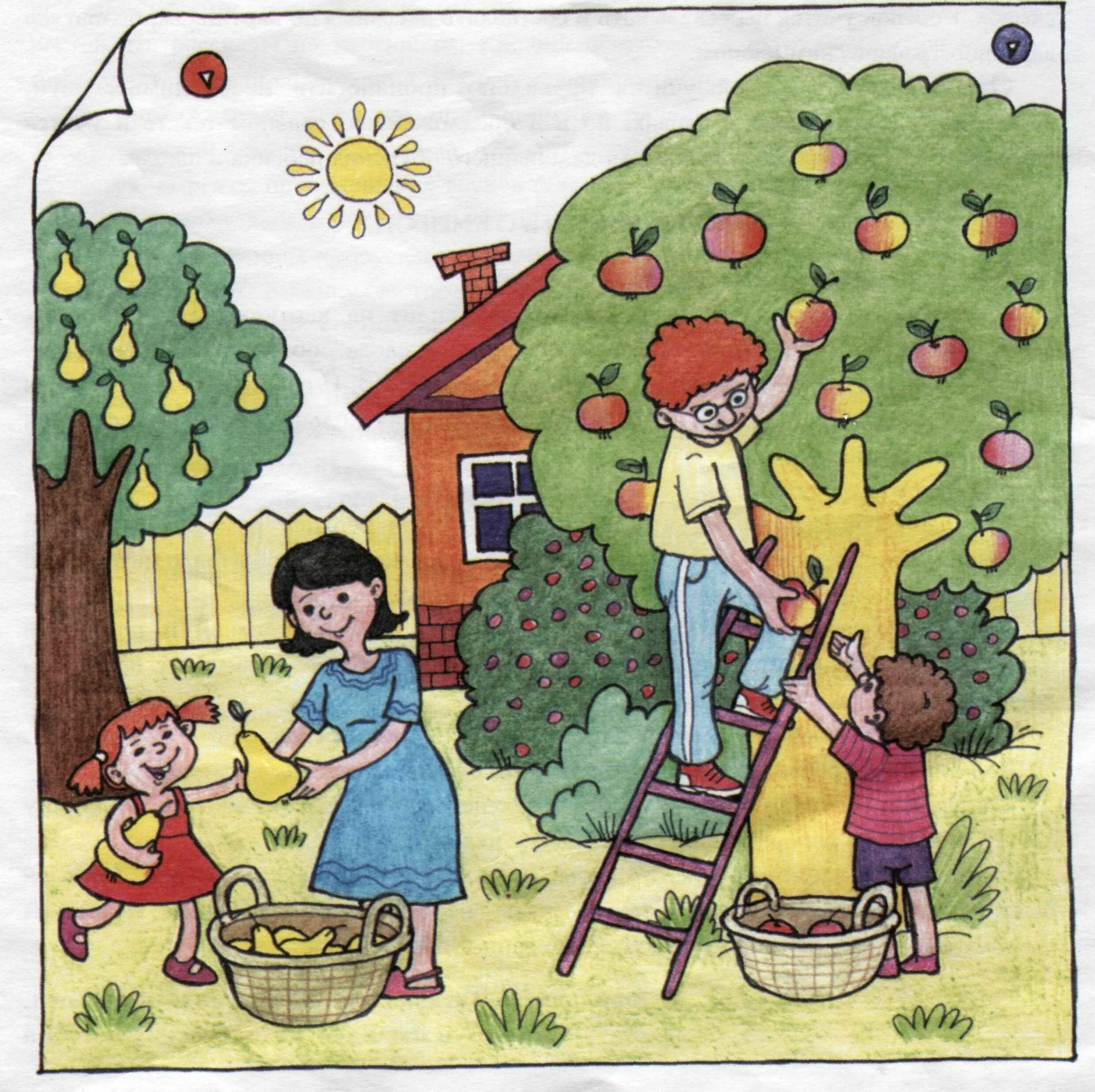 Сюжетные картинки. Идеи для рассказов. Главная мысль произведения. Тема идея проблема произведения. Идеи тем для рассказов.