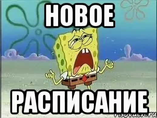 Скиньте расписание