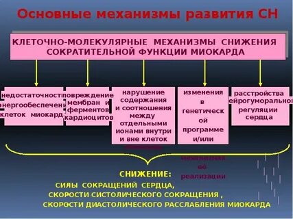 Сердечные механизмы компенсации