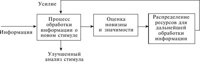 Модель переработки информации. Модель обработки информации. модель обработки информации схема. психофизиология внимания схема. психофизиология восприятия схема.