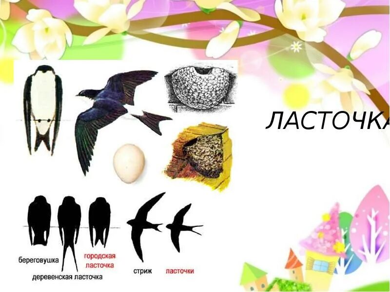 Праздник птиц 1 класс. Праздник птиц изо 1 класс. праздник птиц изо 1 класс презентация. праздник весны праздник птиц изо 1 класс. праздник весны праздник птиц изо 1 класс презентация.
