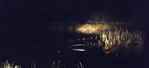 Улетел в болото