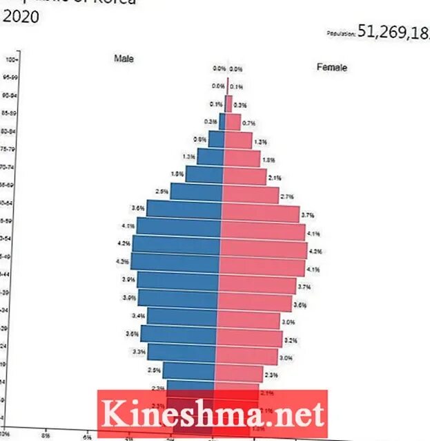 Численность северной кореи на 2023. Рождаемость в Южной Корее. Демография Южной Кореи. Южная Корея пирамида демография. Демография Южной Кореи 2023.