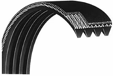 Rib belt
