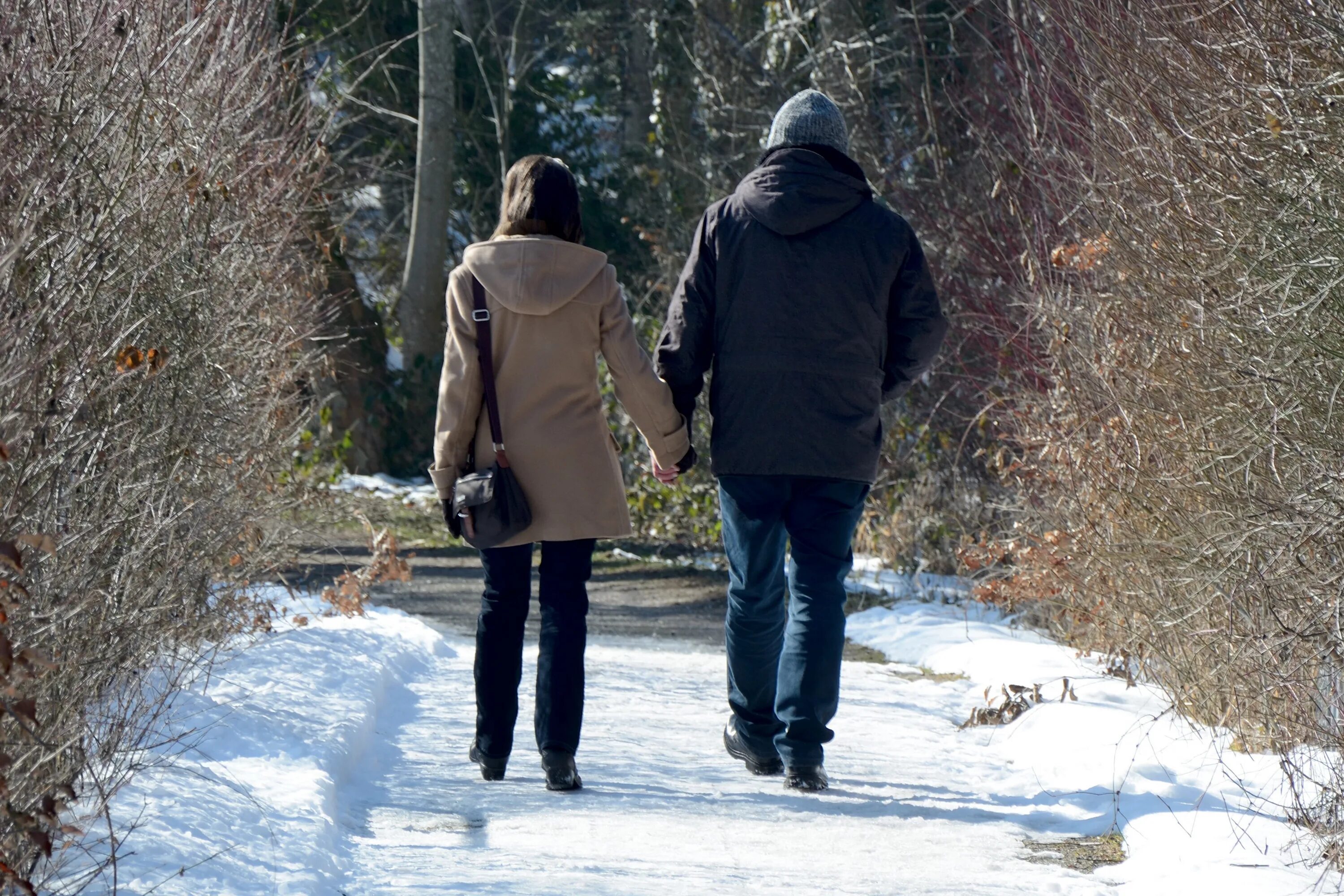 Погулять близко. Люди зимой. Прогулка в зимнем лесу. Прогулка зимой. Люди гуляют зимой.