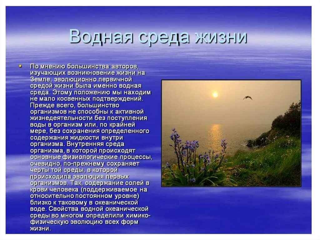 Презентация водная среда. Сообщение о водной среде. Водная среда жизни. Среда обитания водная среда. Среда обитания вода 5 класс биология