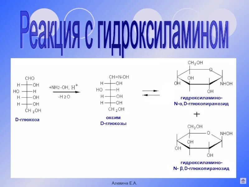 Фруктоза взаимодействует с. Взаимодействия фруктозы с гидроксиламином. Д галактоза и гидроксиламин. Взаимодействие Глюкозы с nh2oh. D галактоза гидроксиламин.