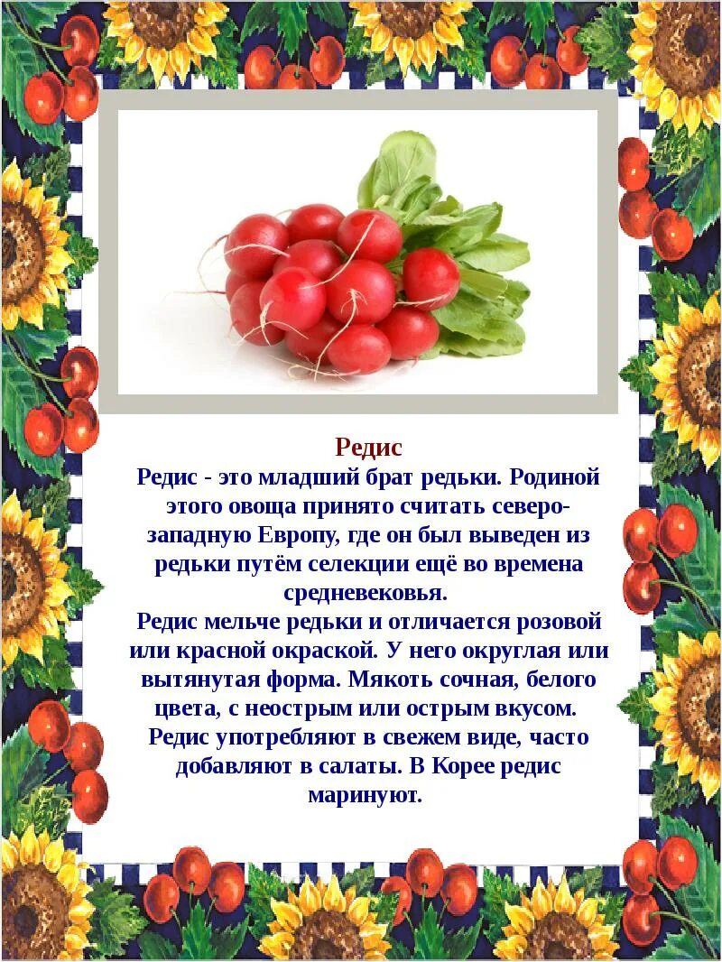 Во саду ли в огороде фото. Юля миняева 2020. Фотоконкурс во саду ли в огороде. Во саду ли, в огороде. Кушнарев анатолий григорьевич во саду ли в огороде 2021.