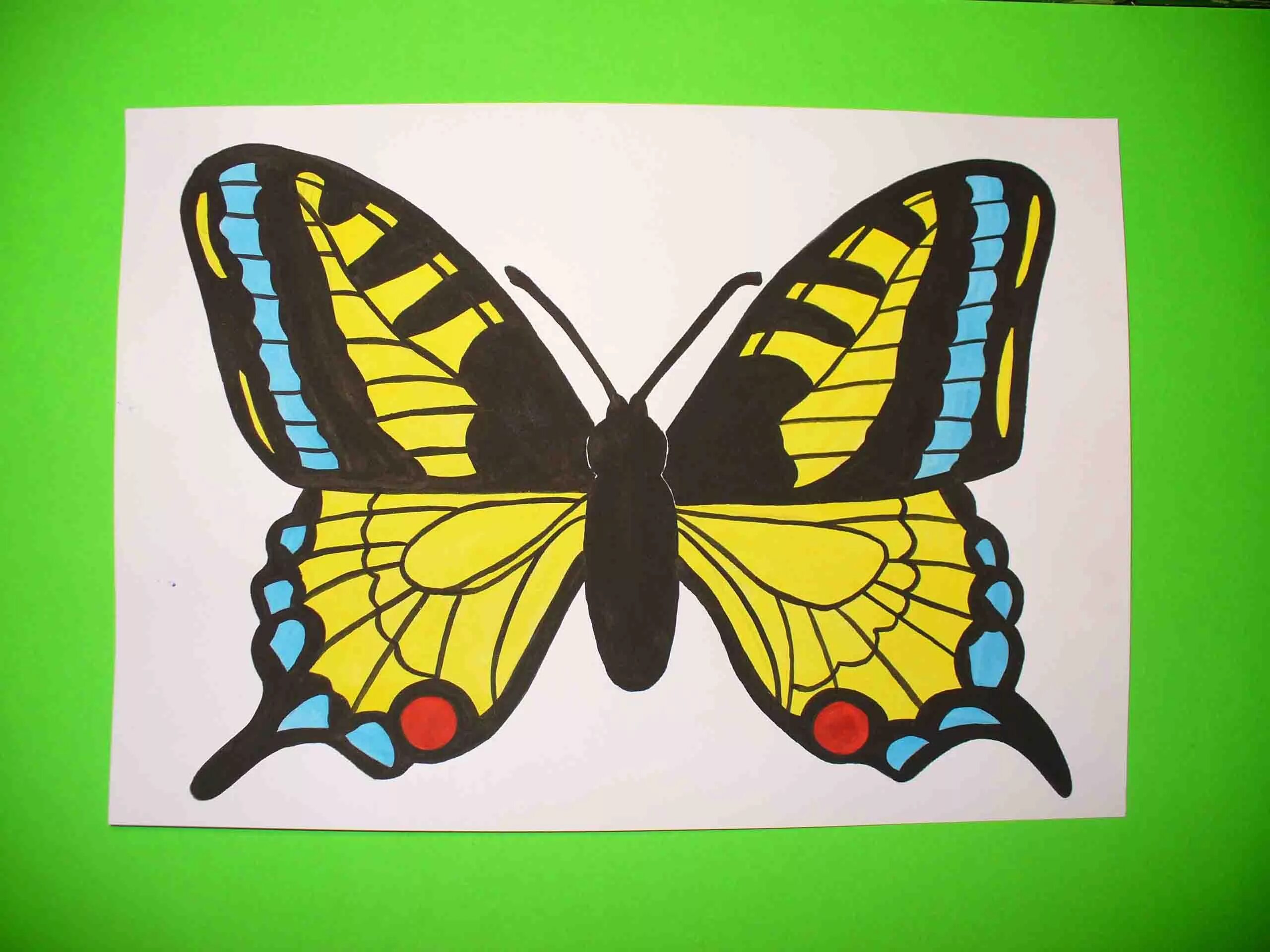 Рисование бабочка старшая группа. Рисование бабочки. Рисование бабочка в средней группе. Бабочка для рисования детям. Рисование для детей бабочка средняя группа.