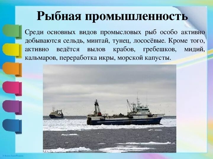 Основные центры рыбной промышленности. Хозяйство европейского севера рыбная промышленность. Основные центры рыбной промышленности. Рыбная промышленность презентация. Центры рыбной отрасли европейского севера.