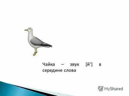 Сколько звуков в слове вьется