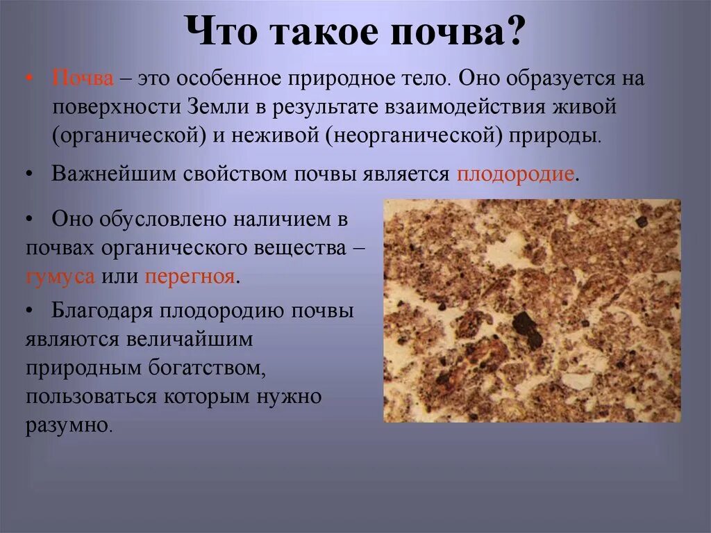 Что такое почва тест. Почва презентация. доклад о почве. призентация на тема почива. презентация по теме почва.