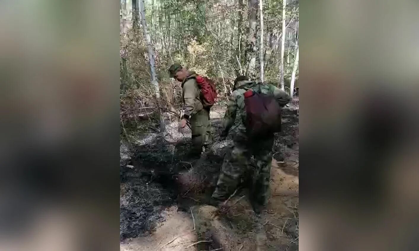 Пожары в Амурской области. Лесные пожары. Пожары в Амурской области сейчас. Волки обглодали человека в Селемджинском районе. Горники в амурской области последние новости