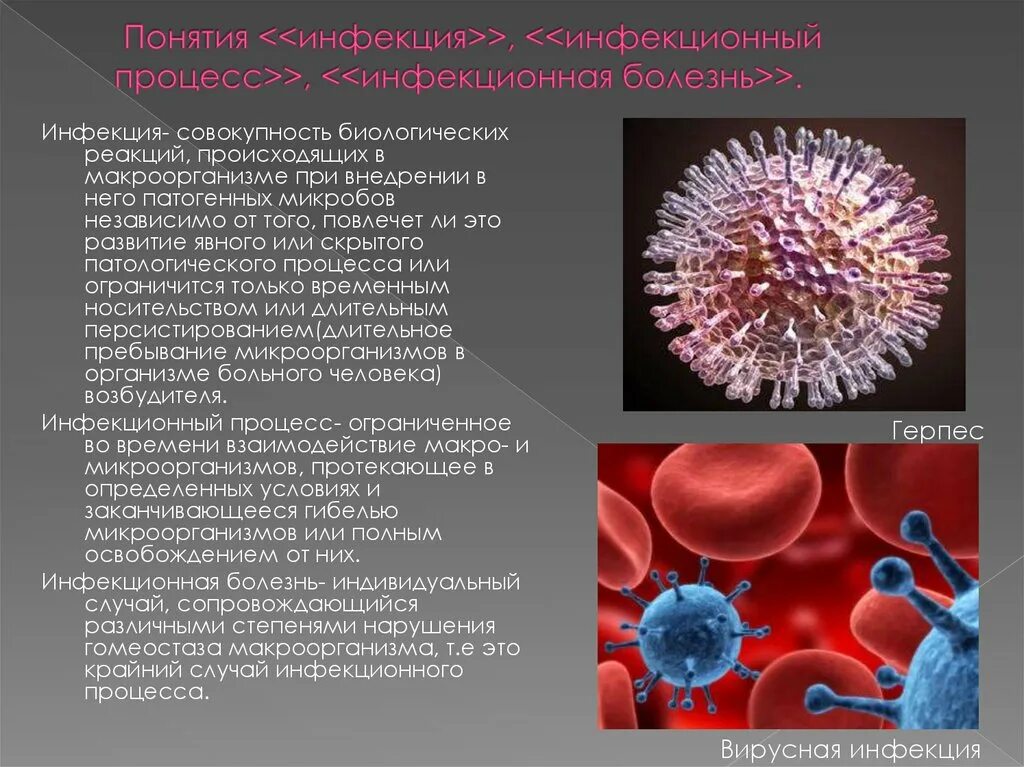 Заболевания передающиеся микроорганизмами