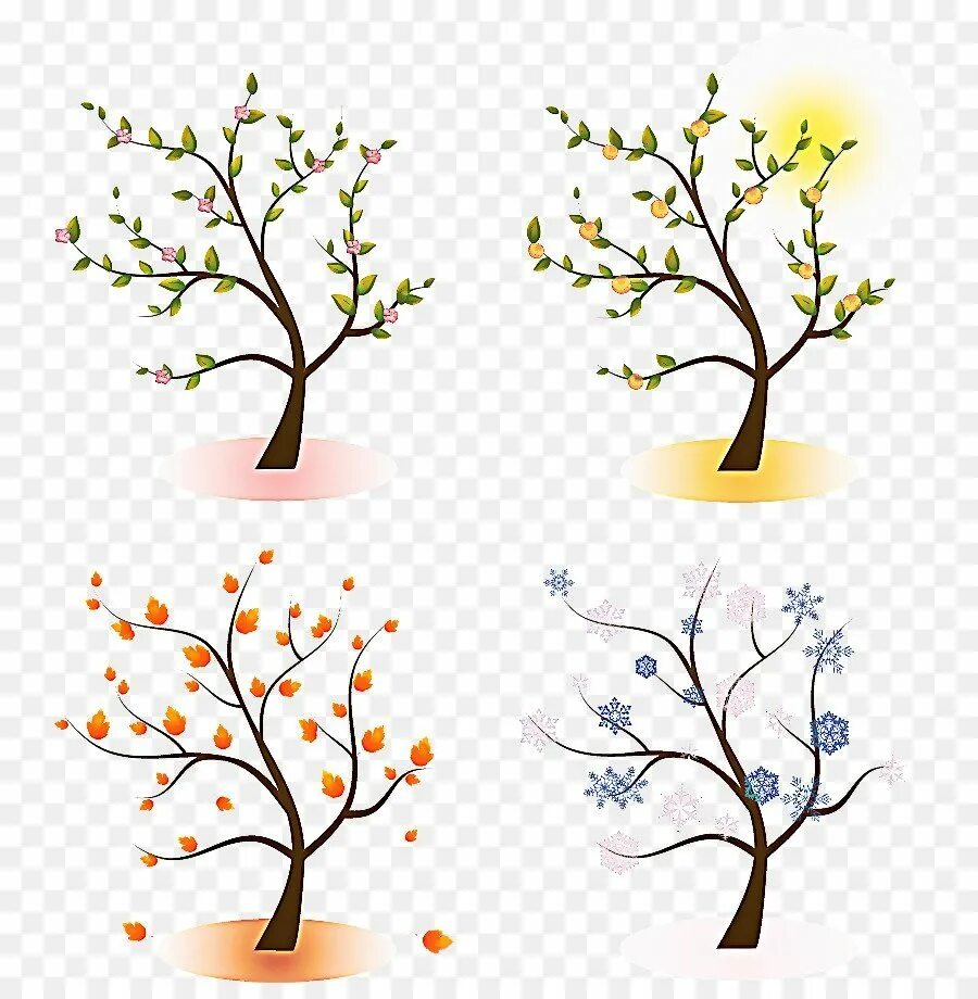 Яблоня в разные времена года. Весеннее дерево. Нарисовать Весеннее дерево. Деревья мультяшные. Весеннее дерево на белом фоне.