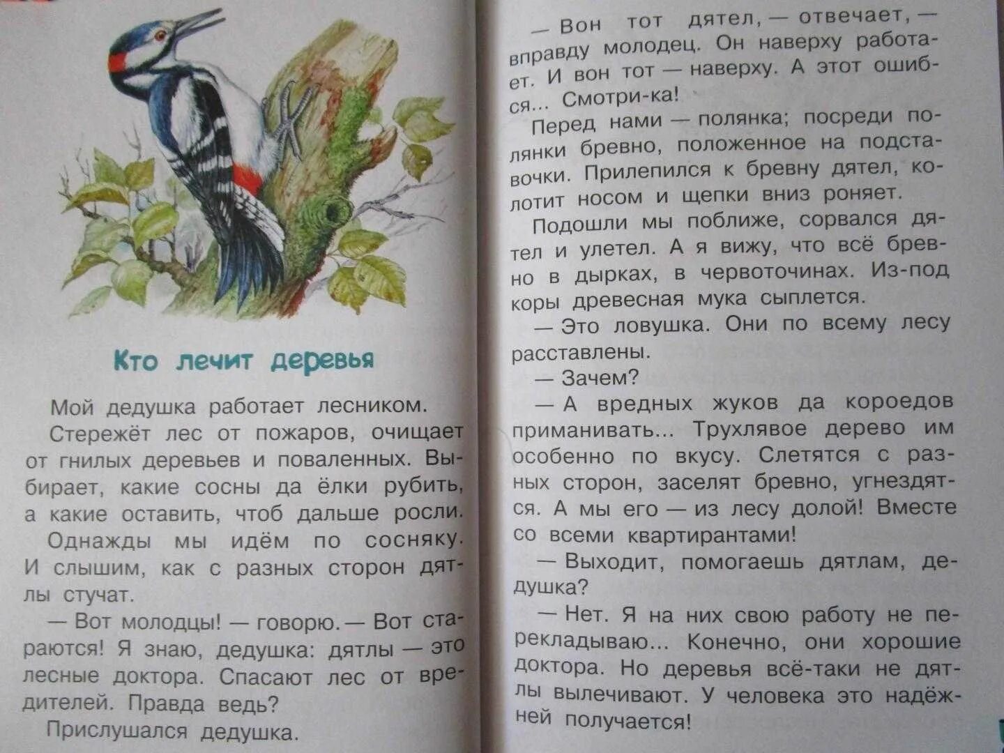Одуванчик и дождь сладков читать