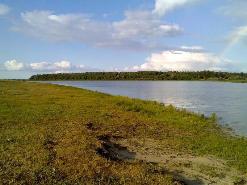 Погода лакаш. Озеро лакаш рязанская область. озеро петровическое рязанская область.