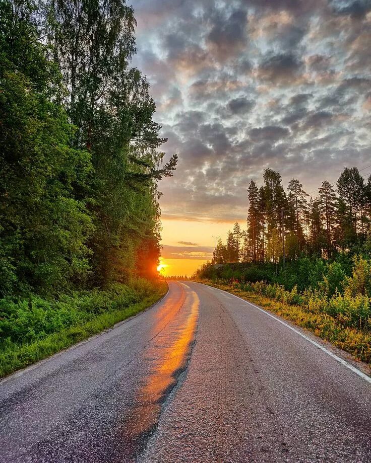 County roads. Красивые дороги. Летняя дорога. Красивая дорога. Пейзаж дорога.