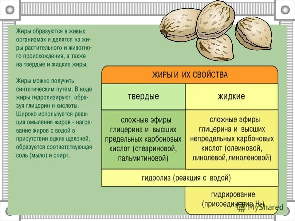 Биологический свойства жиров функции. Каковы особенности строения и функций жиров. Перечислите биологические функции жиров. Функции жиров в клетке и организме. Каковы особенности строения и функций жиров.
