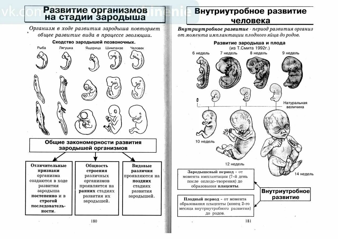 Задания биология заключительный этап. Биология в таблицах и схемах. Биология человека в таблицах рисунках и схемах Резанова. Биология человека в таблицах рисунках и схемах Рязанова. Резанова Антонова биология человека.