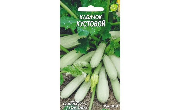 Кабачок для грунта кустовой сорта. Кустовые кабачки. лучшие сорта кустовых кабачков. семена кустовых кабачков. кустовые кабачки для открытого грунта.