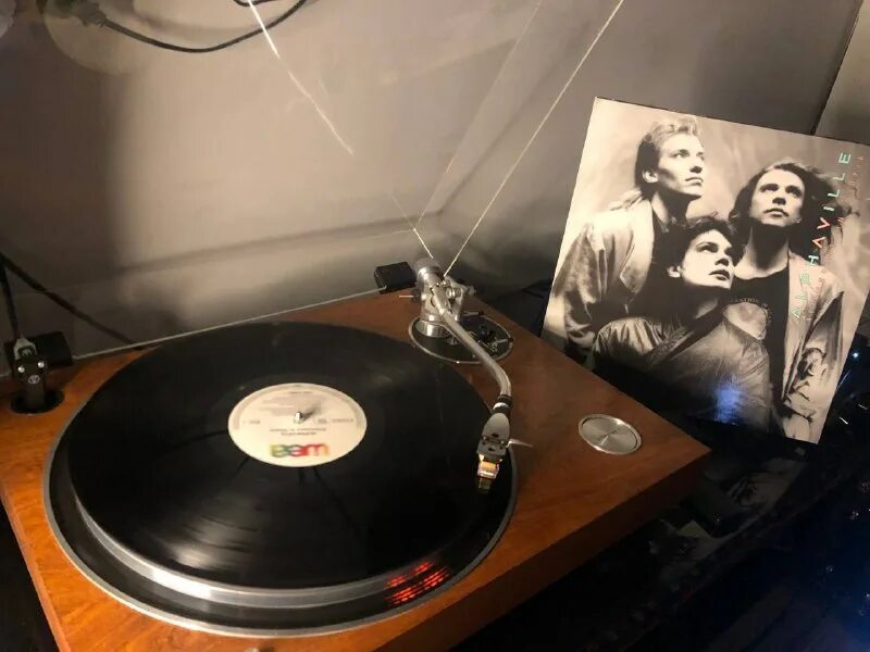 винил телеграм. винил телеграм. винил телеграм. винил телеграм. винил телеграм.