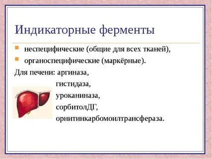 Ферменты печени у детей